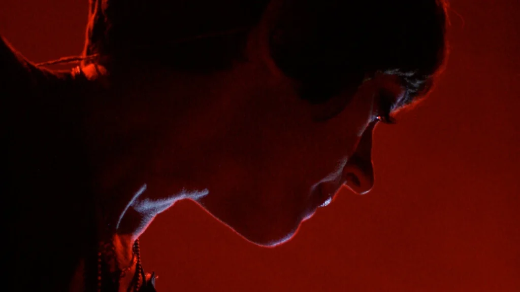 Helen Marnie of Ladytron in profile under deep red stage light