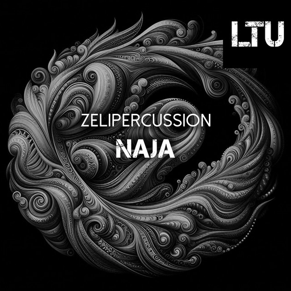 The Marimba Sound and Where It Went: Zelipercussion Carries It Into Naja