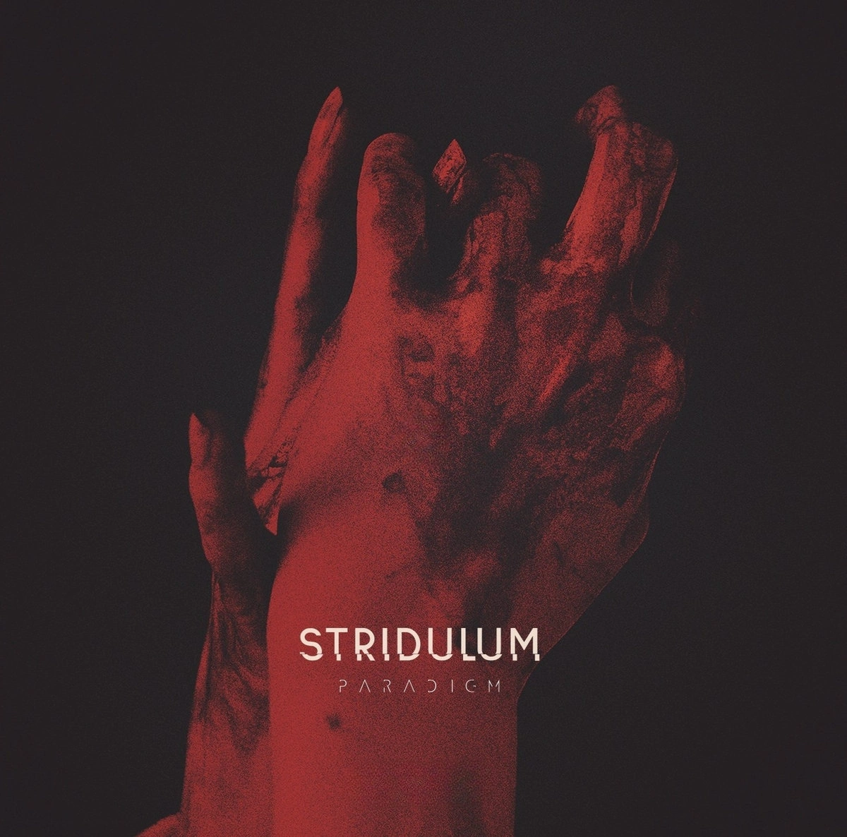 The Coldwave Synth Sound and Where It Went on the STRIDULUM Album Paradigm